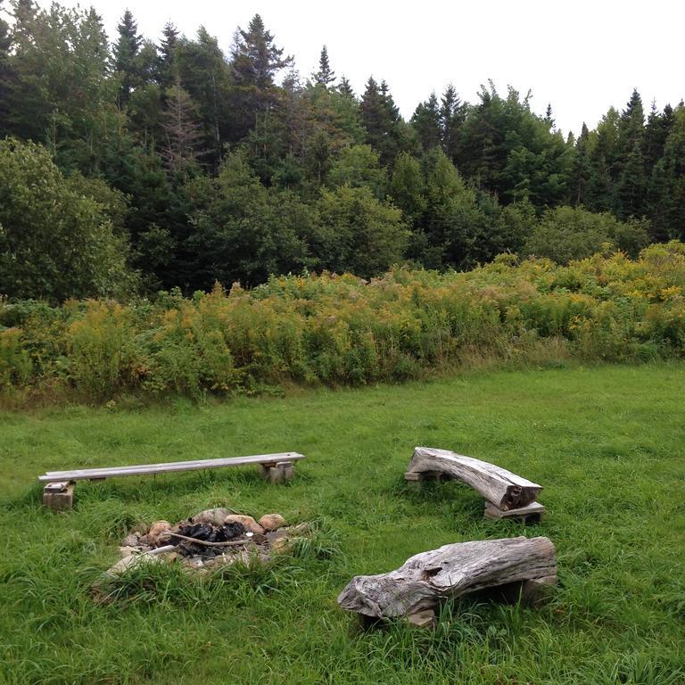 Indian Brook Breton Cove Farmhouseゲストハウス エクステリア 写真
