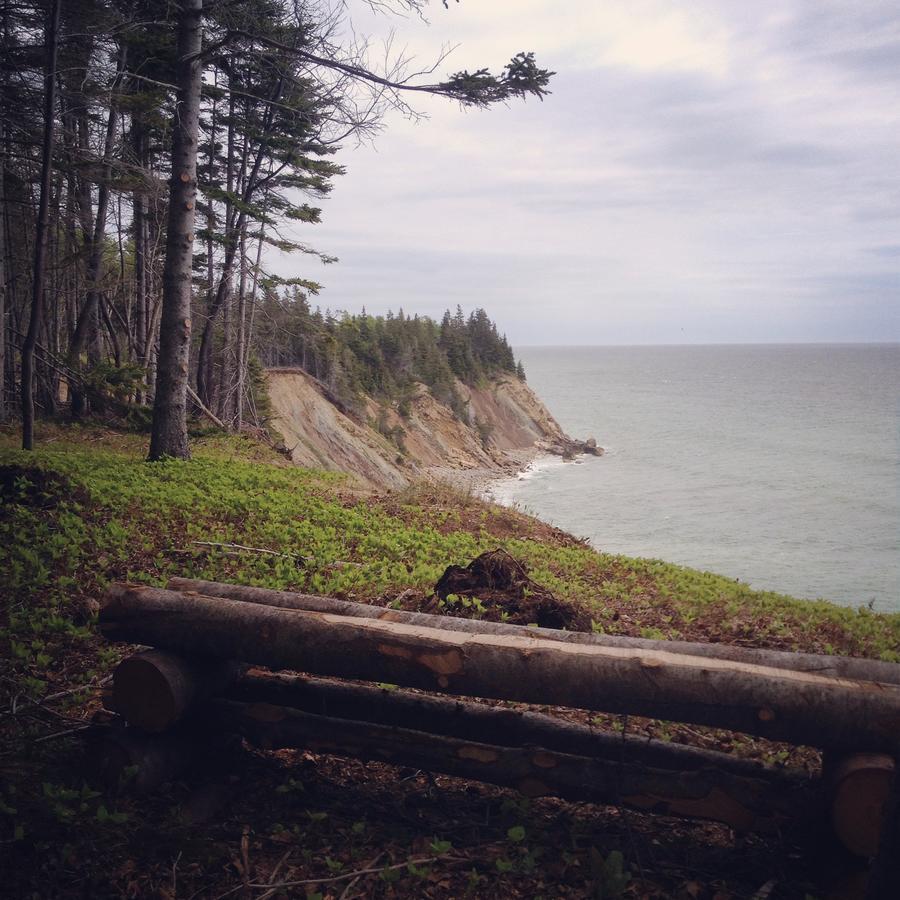 Indian Brook Breton Cove Farmhouseゲストハウス エクステリア 写真